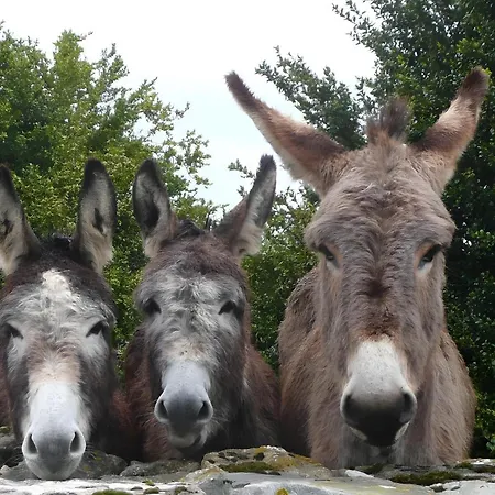 Lägenhet Du Bout Du Monde